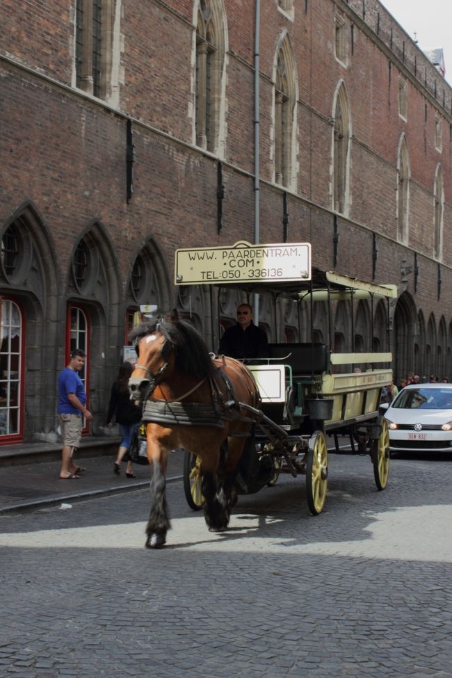 こんな大型馬車も走っています。<br />１頭で引くのは大変そうに見えました。
