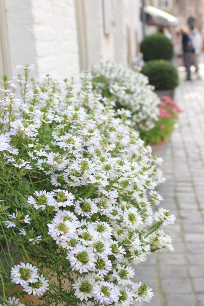 そろそろ帰途につきます。