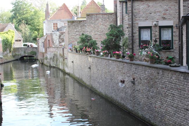 運河脇は町をあげて綺麗に飾っているのでしょうね。