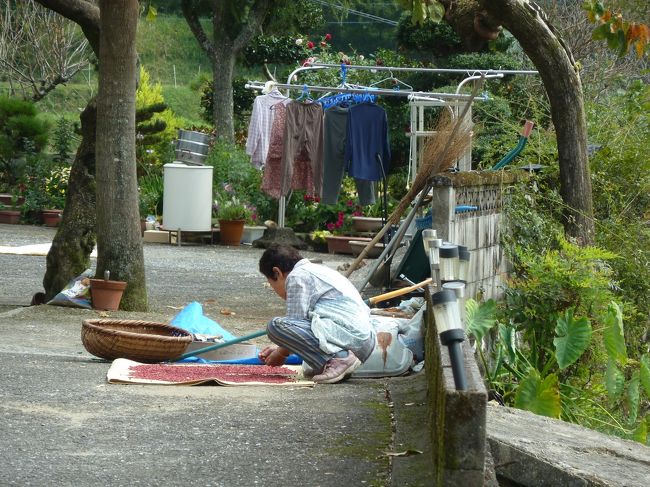 こちらは・・・<br /><br />本物のおばあちゃんです　(^_^)