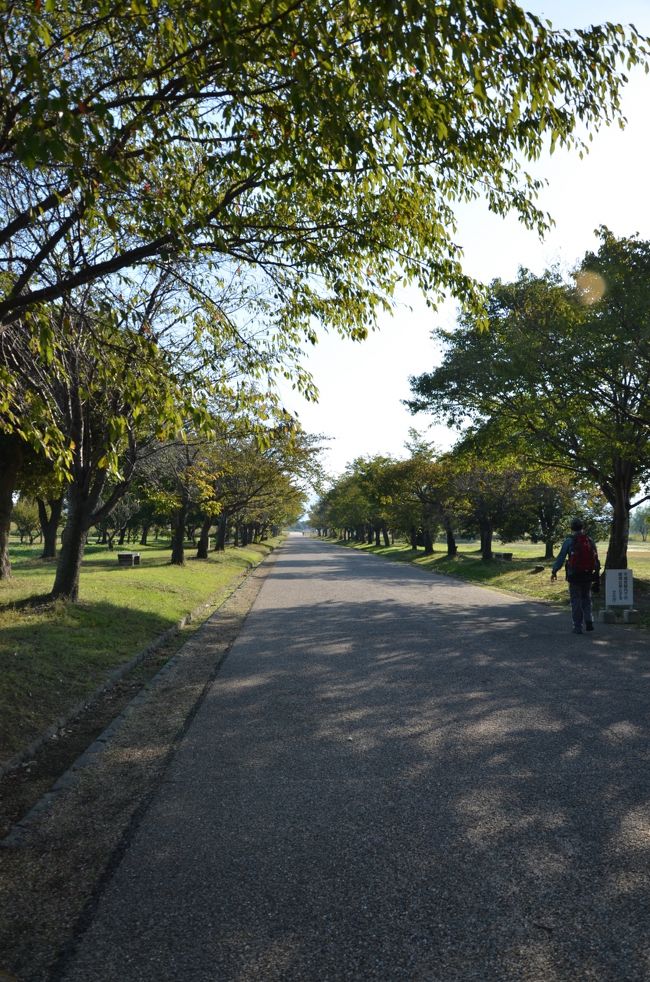 カメラを持って散歩したり、ジョギングしている人の姿も見かけます。