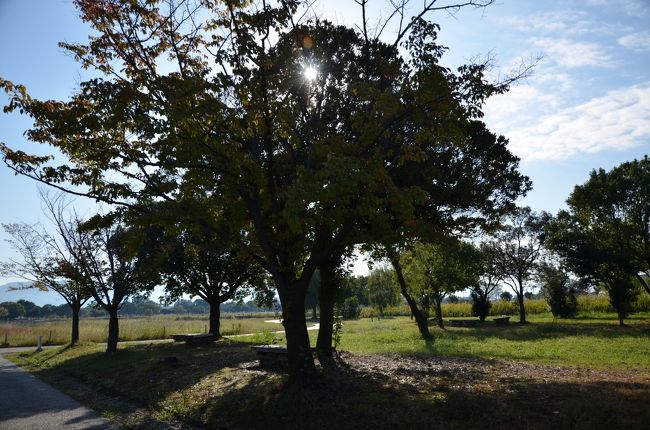 秋の碧空が気持ち良い。