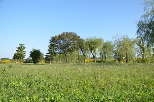 奈良は緑が多く、この辺りは散歩するにも丁度良い場所です。