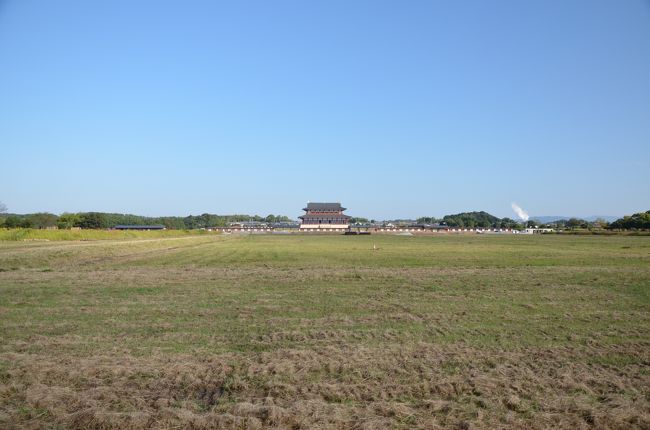 今のこの広い雑草が生えているところが整備されるようです。