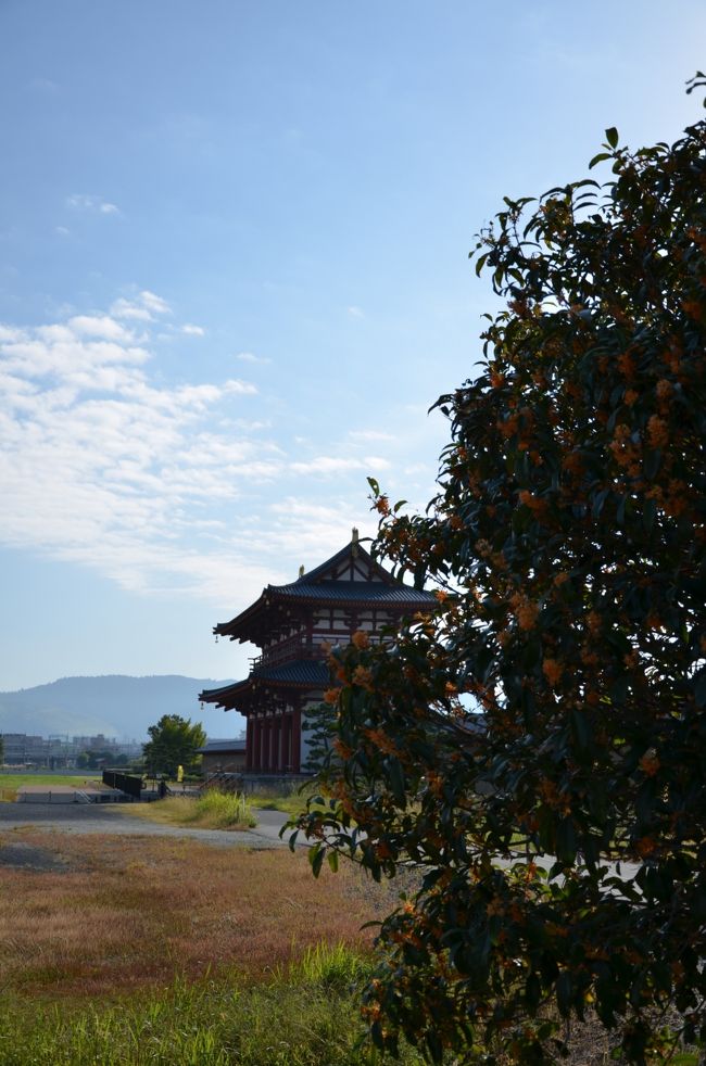 何か良い臭いがすると思ったら・・・キンモクセイがありました。