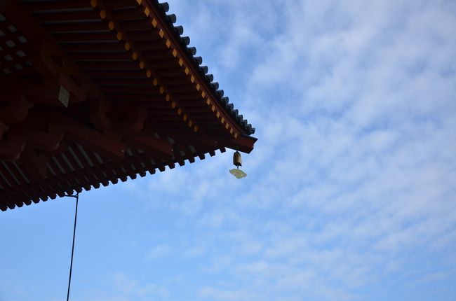 今日は秋の碧空が遠くに感じられました。