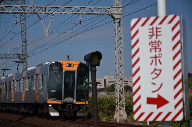 踏切を渡るときに丁度電車が来ました。