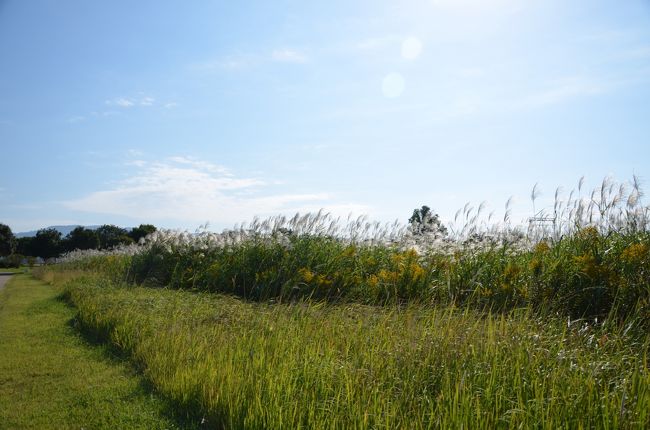 あちこちで写真を撮りながらまた、テクテク歩きます。