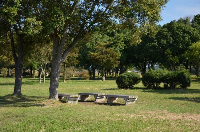 あちこちにベンチがあるので休憩も出来ます。朝からベンチで昼寝？している人も居ました。