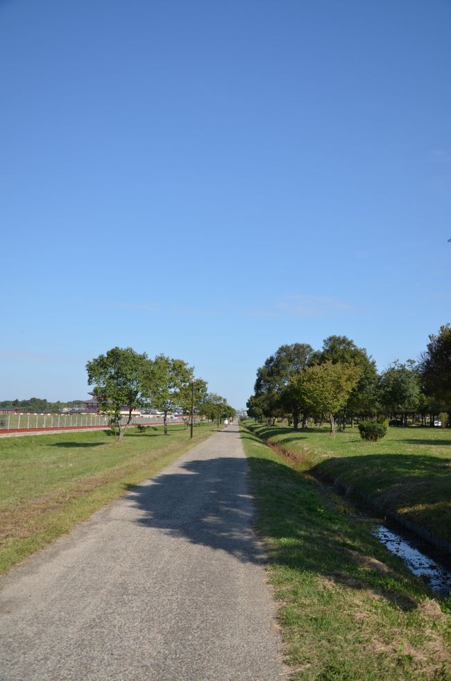 雲がほとんど無い碧空。散歩を楽しんでいる人もチラホラ見かけます。