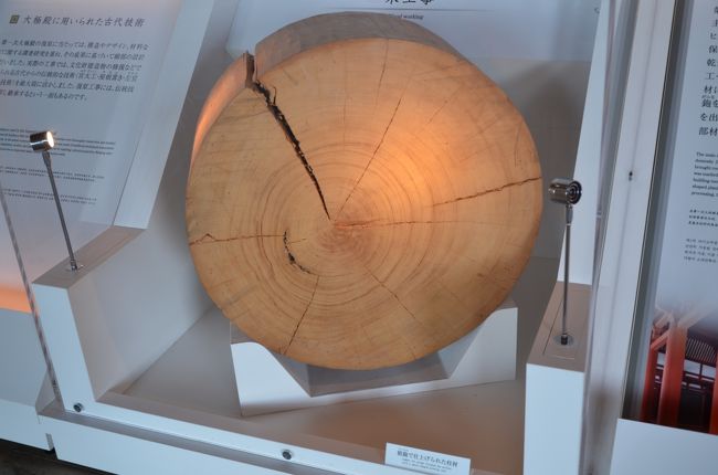 第１次大極殿建築にに使われた檜