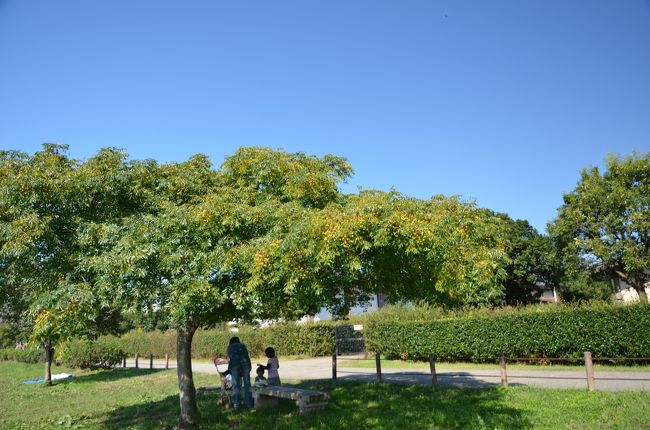 家族で遊びに来ているようです。