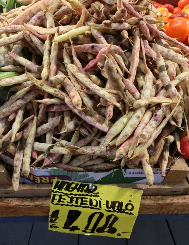 これは、なんでしょうねー！？