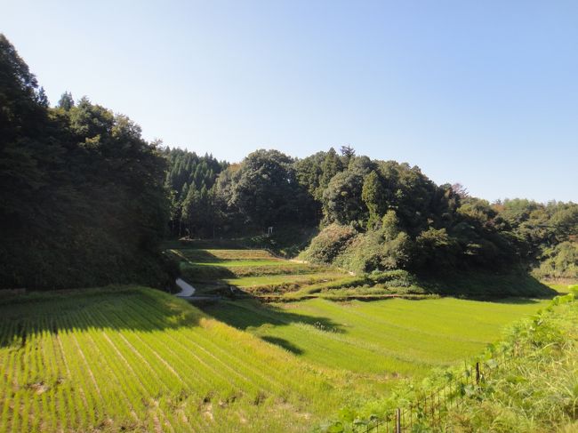 ◇◇出雲の民話◇◇島根県東部雲南地方☆だらじ婿