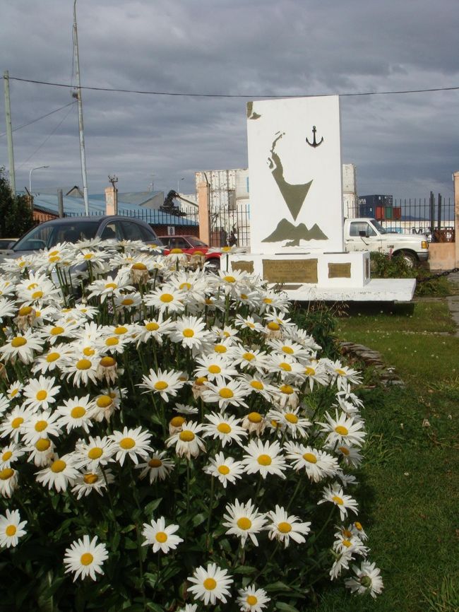 こんなに寒いのに、マーガレットも咲くんじゃなぁ･･･