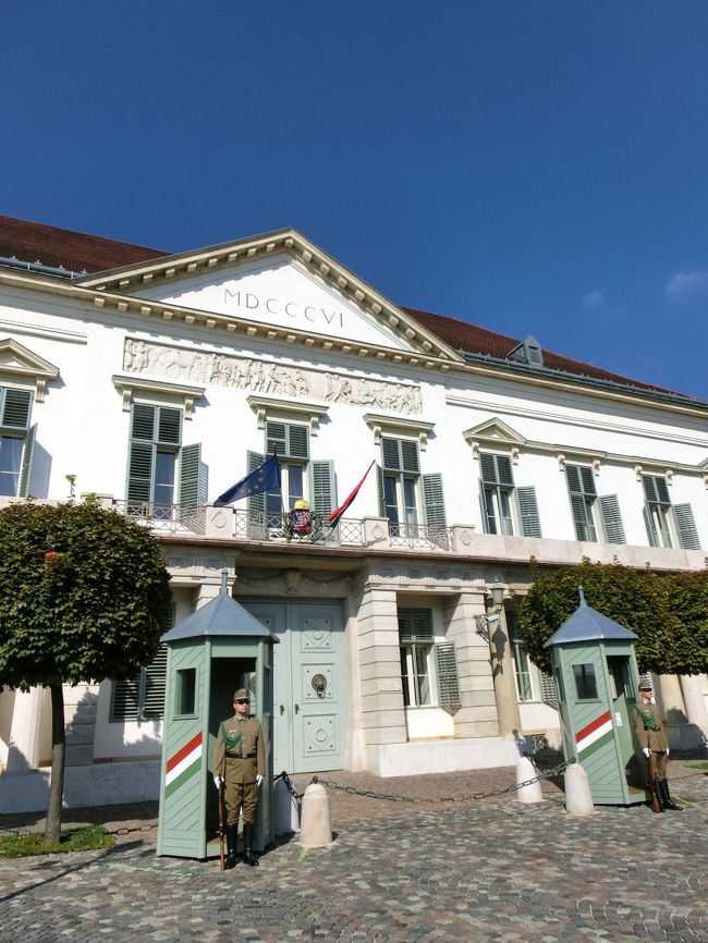 衛兵さん発見！