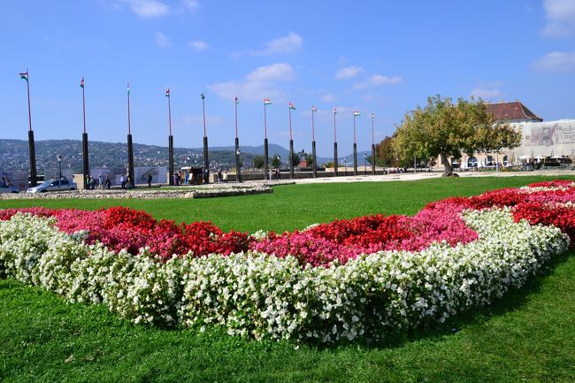 すっきり秋晴れ。