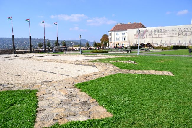 すっかり、この場所がお気に入り。