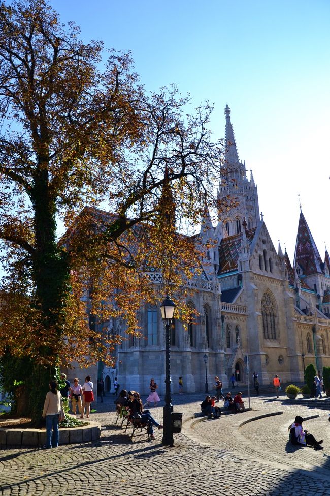 陽が傾くのが早くなってきた、秋の良き日のお散歩。