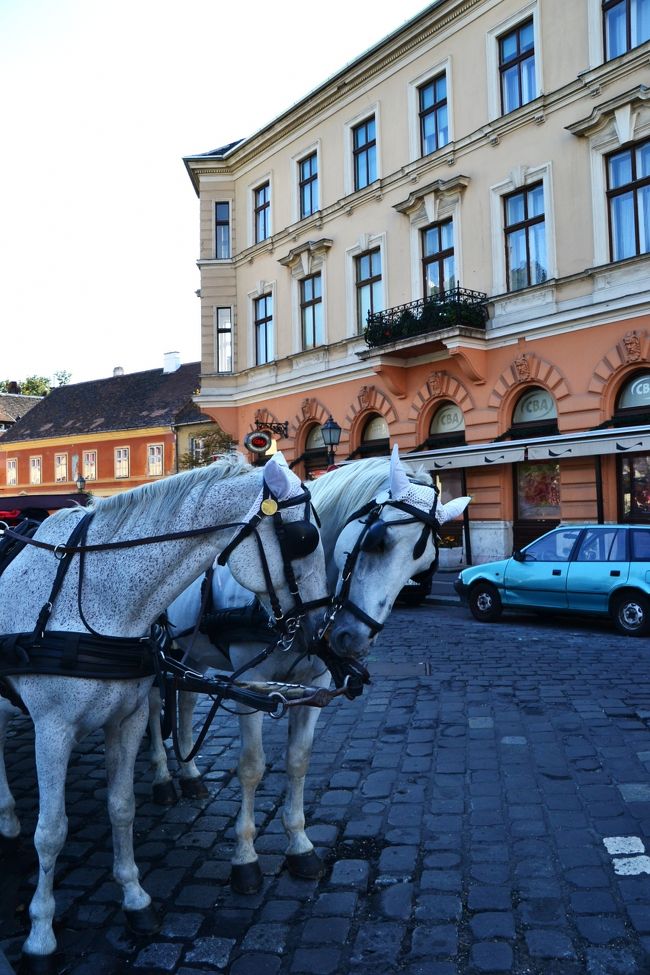 誰も乗ってくれないから、イチャイチャしだした。