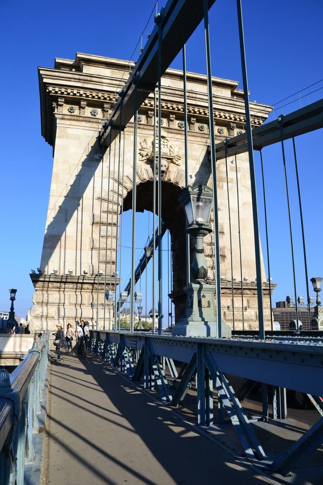 夜のライトアップが待ちきれない！