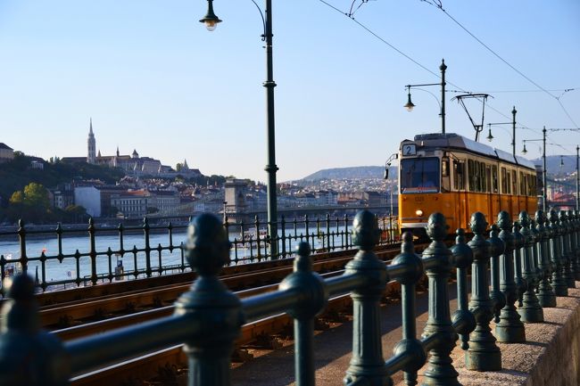 トラムのある街に住んでみたい。<br /><br />１日中、追っかけられるから…