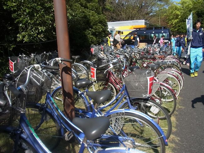 箱根駅伝予選会12 立川 東京 の旅行記 ブログ By すずめさん フォートラベル