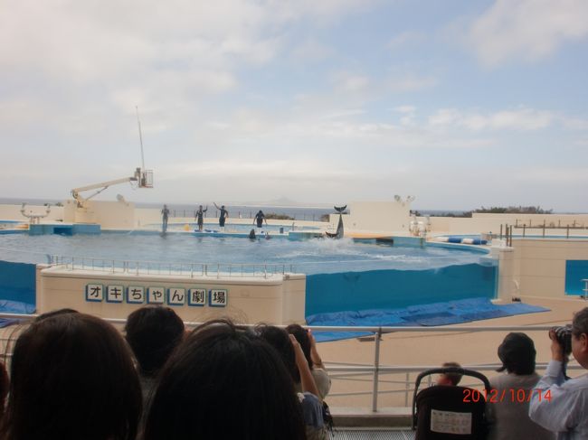 １１時からのイルカショーを見ました。<br /><br />イルカが海面からジャンプする度に、<br />ビクッと飛び上がるムスコ。<br />弱すぎーーっ（笑）