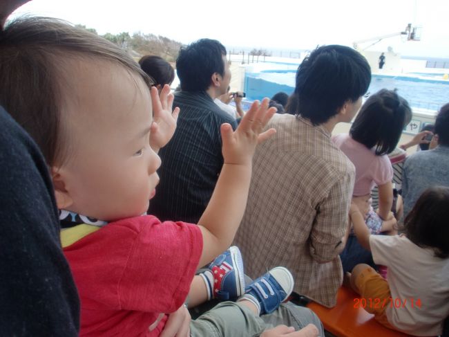 びびるくせに、拍手は忘れずー（苦笑）