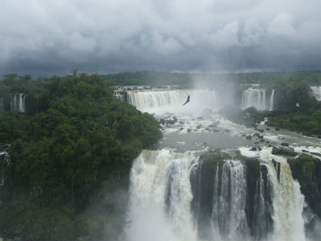 鷹もユウユウと飛んでます。