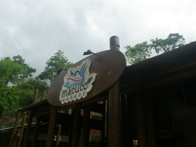 ボート乗りだけでなく、ジャングル・トレッキングも有るとの事で申し込んだマクコ・サファリ。