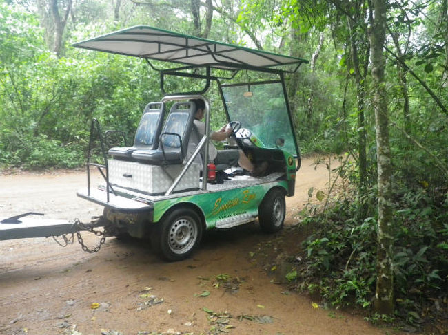 この電気自動車が、
