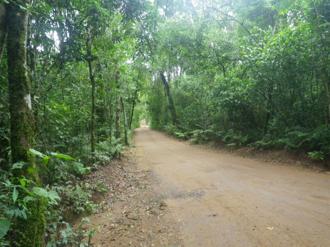 こんな道を進んでいきます。