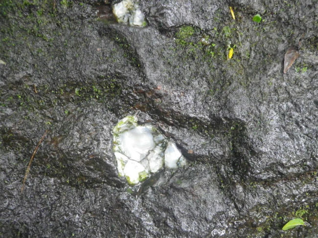 そしてこれは、天然水晶。