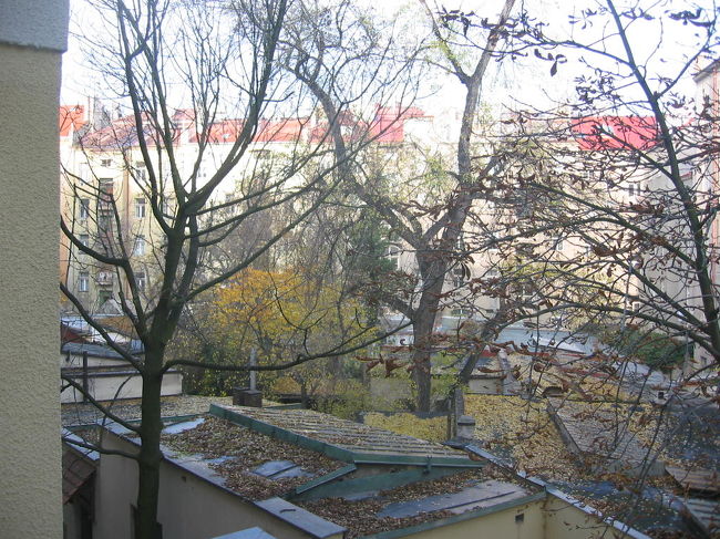 ホテルの窓からの景色。紅葉が終了といった感じです。