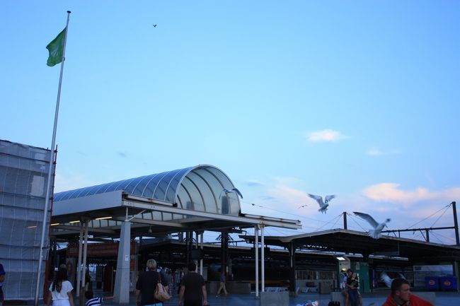 こんな感じ。カモメがたくさん飛んでいます。