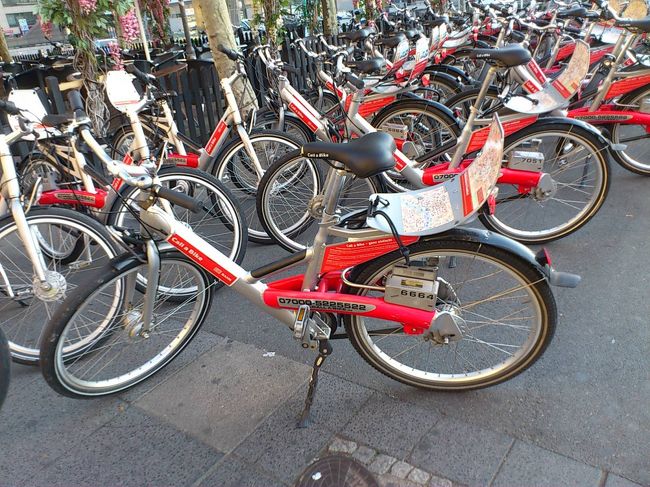 朝のフランクフルト駅前は自転車がたくさん並んでいました。<br />ただ、放置自転車では無く、レンタル自転車ですね。<br />以前近所でバイクシェアリングの実証実験していたときにこのタイプの自転車を見ました。<br />エコですね。
