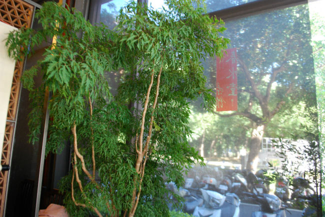 「パールミルクティー大」を一つ、<br />テイクアウトで購入。<br /><br />店内から、公園方面をパチリ。<br />バイクと緑もりもりな公園^^