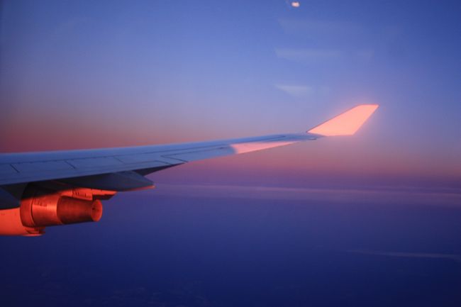 そして帰路につきます。<br /><br />ちなみに帰りはブリュッセルからの飛行機が20分ほど、フランクフルトからの飛行機が4時間遅延してなかなかぐったりした帰り路でした(笑)