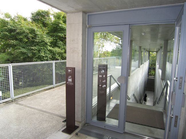 この現代的な建築は安藤忠雄作<br />景観を壊さないよう、地下に潜るように<br />建てられています。<br />中にはモネの水連が展示されてます。