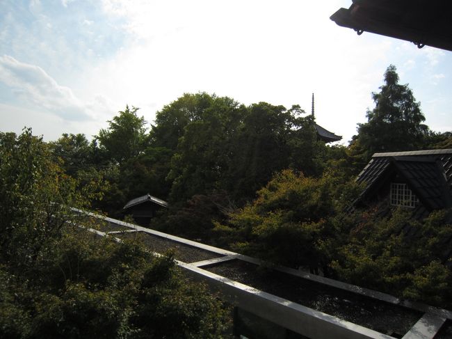 山荘2階テラスから先ほどの建物屋根が<br />見えます。<br />このようにすっぽりと景色に埋まって、<br />全く景観を崩してません