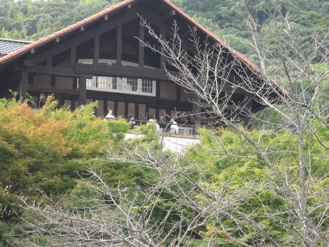 めいっぱいドアップにすると舞妓さんの姿が・・<br />今日はなんかの御一行様が来てて、<br />彼らが綺麗どころを数名連れてきてました◎