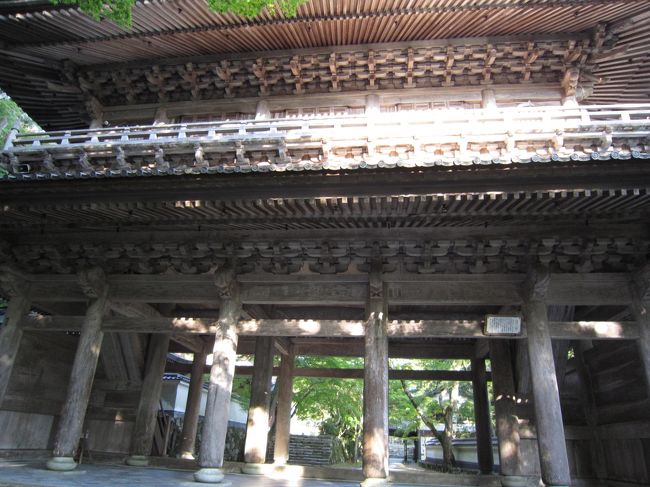 山門<br /><br />この入り口から山門までの雰囲気<br />近所の光明寺さんに似てる<br /><br />そちらも紅葉で有名☆<br />一応なんかの総本山らしい・・<br />お散歩でよく行きます(^^)