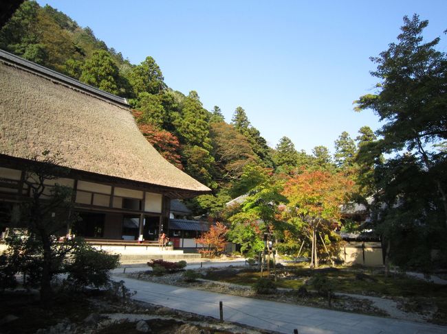 本殿と中庭<br /><br />山の中にひっそりとある風情がイイ☆<br /><br />