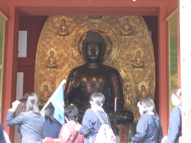 天女様ならぬ、薬師如来様ドーン♪<br /><br />室内はもちろん撮影不可<br />なので外からドアップで頑張った◎<br />天上画が修復したてでめちゃめちゃキレイ♪<br /><br />