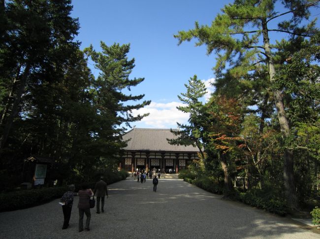 金堂へ<br /><br />こちらも国宝<br />中には千手観音・薬師如来など。<br />あの千手観音を一度バラバラにして<br />修復した様子などが展示してあります