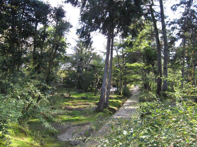 重文の御影堂は閉まってて入れない<br />私の大好きな東山魁夷の障壁画は見れなかった(/_;)<br /><br />この奥は鑑真和上御廟<br /><br />