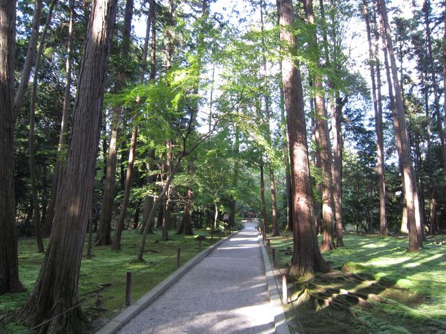 ちょうど修学旅行生たちが<br />来る前だったのでばっちり撮れた◎