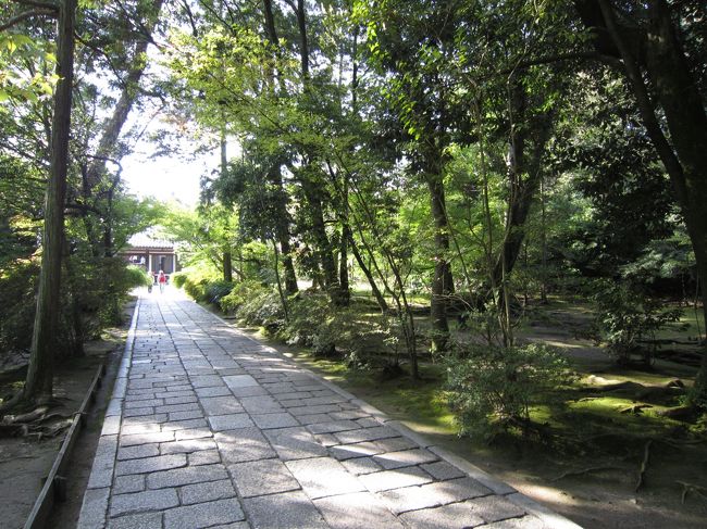 さてでは戻りますか