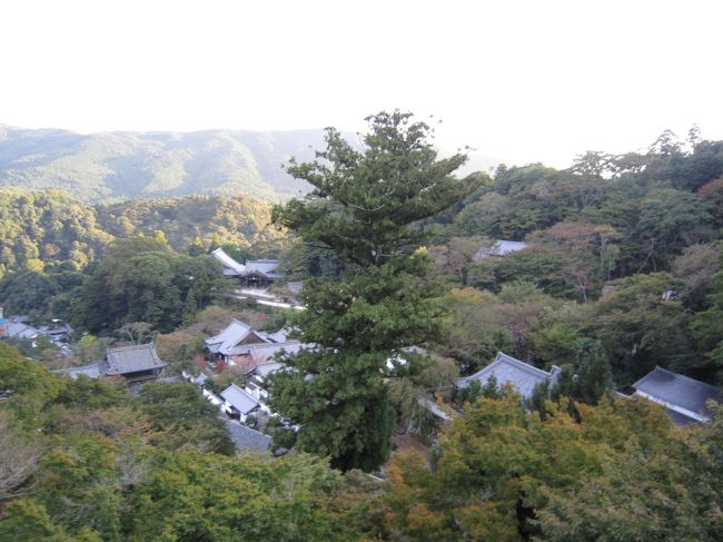 本堂先の舞台からの眺め<br />清水の舞台みたい♪<br /><br />時間が遅かったからか、不人気シーズン<br />だったからか　☆貸切☆